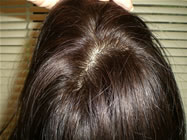 wig55